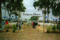 belgian blue expo